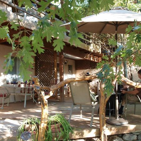 Wikiup Hummingbird Hotel Julian Εξωτερικό φωτογραφία
