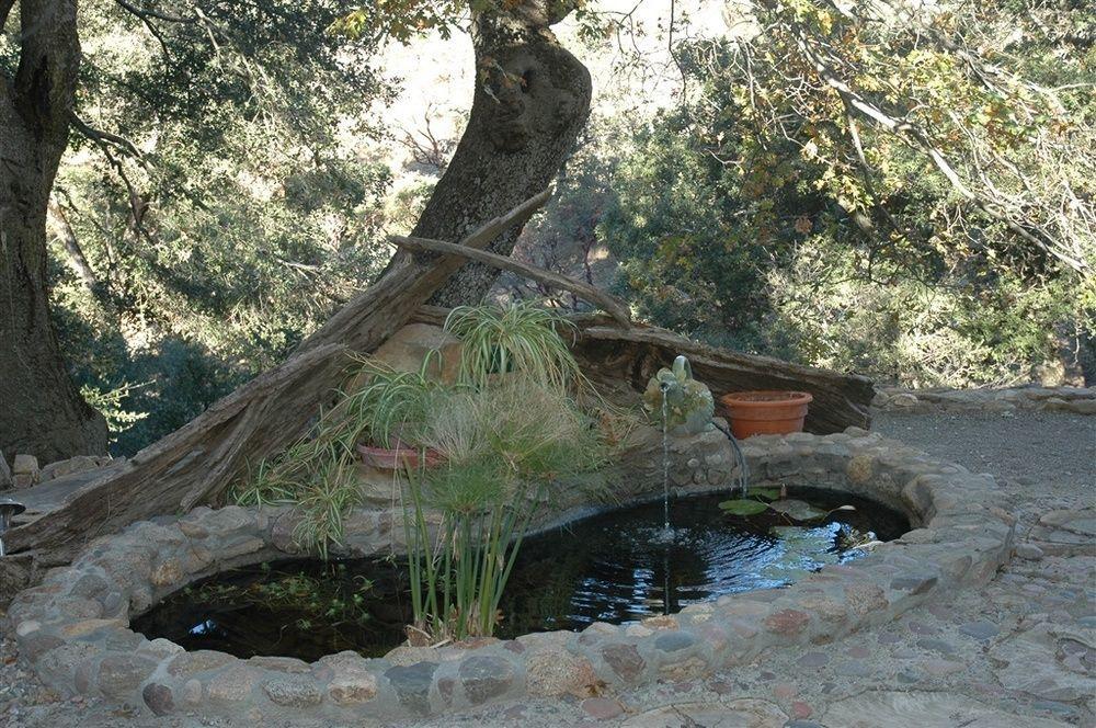 Wikiup Hummingbird Hotel Julian Εξωτερικό φωτογραφία