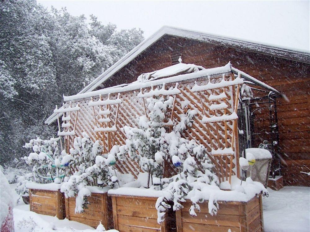 Wikiup Hummingbird Hotel Julian Εξωτερικό φωτογραφία