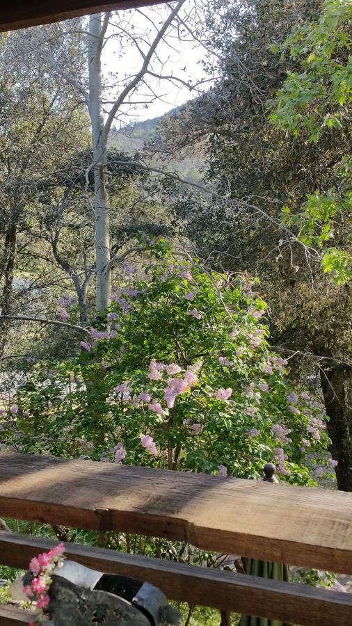 Wikiup Hummingbird Hotel Julian Εξωτερικό φωτογραφία